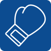 Glove Icon
